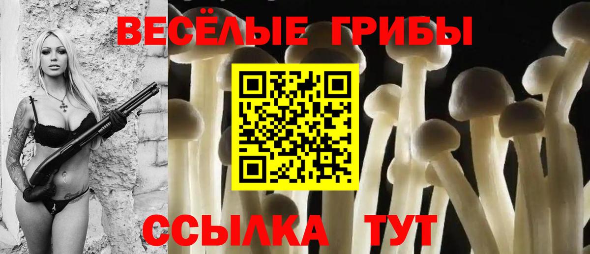 Псилоцибиновые грибы прущие грибы  Вход с VPN  Саянск 